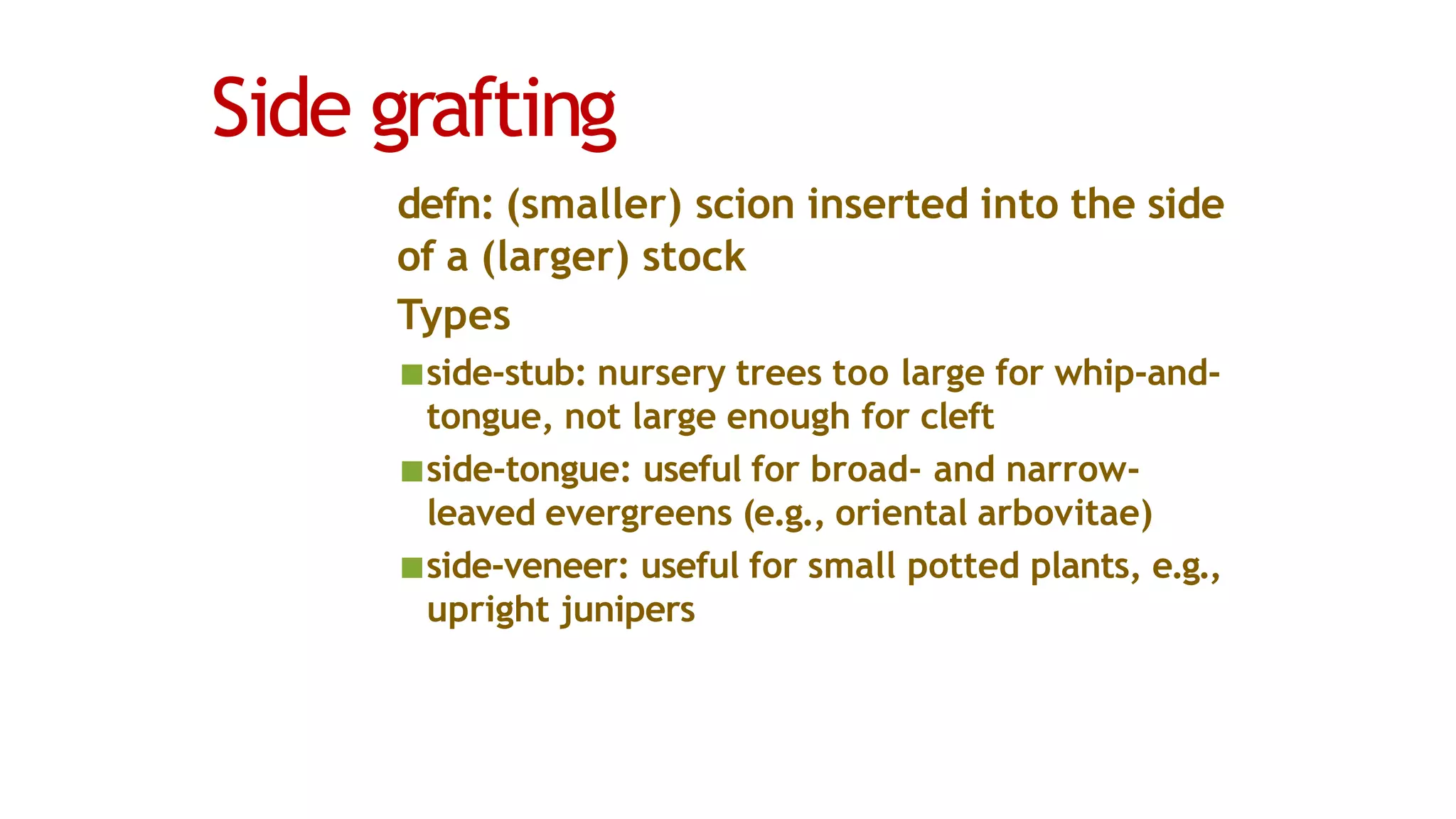 Side grafting
defn: (smaller) scion inserted into the side
of a (larger) stock
Types
■side-stub: nursery trees too large for whip-and-
tongue, not large enough for cleft
■side-tongue: useful for broad- and narrow-
leaved evergreens (e.g., oriental arbovitae)
■side-veneer: useful for small potted plants, e.g.,
upright junipers
 