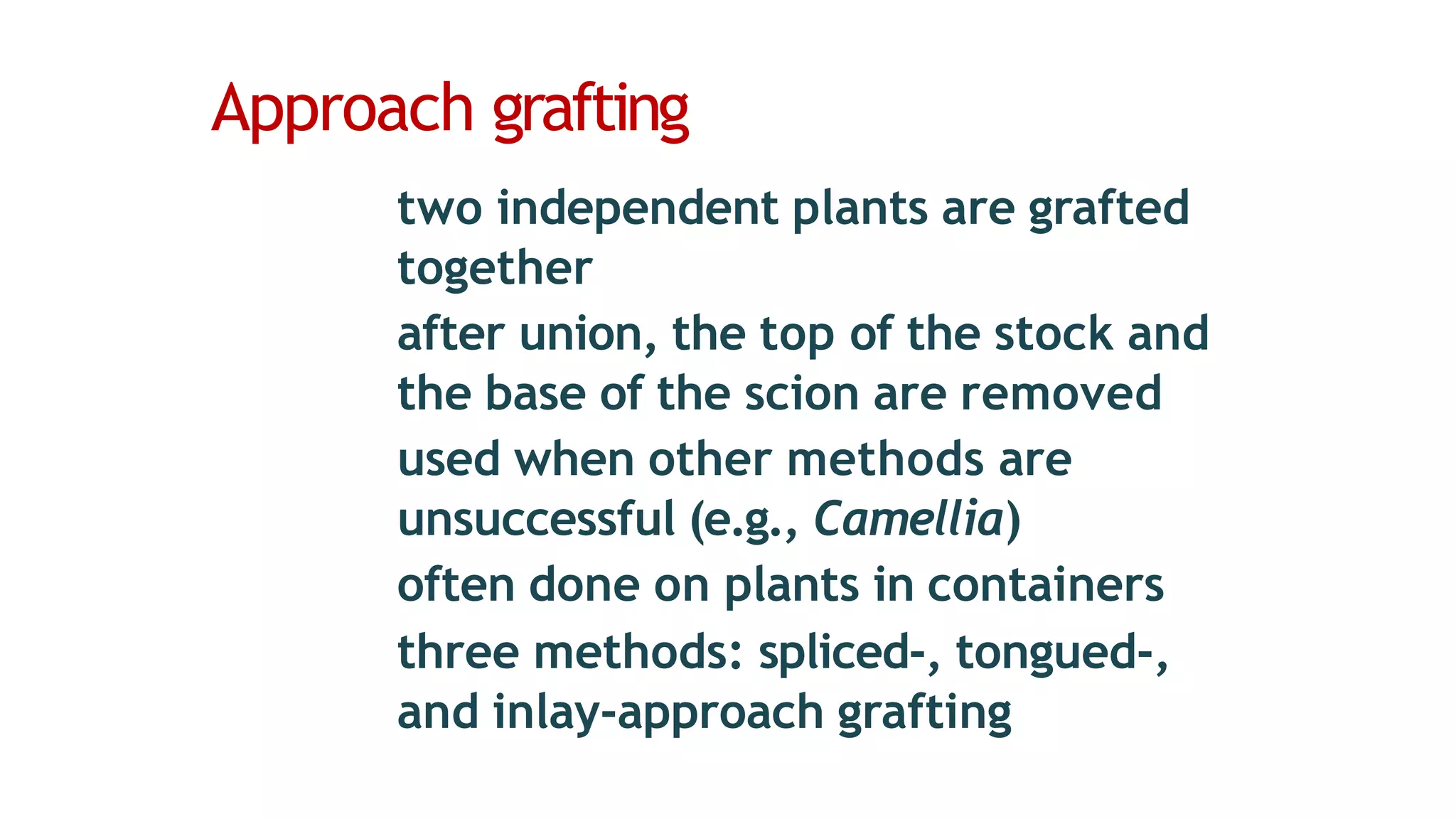 Approach grafting
two independent plants are grafted
together
after union, the top of the stock and
the base of the scion are removed
used when other methods are
unsuccessful (e.g., Camellia)
often done on plants in containers
three methods: spliced-, tongued-,
and inlay-approach grafting
 
