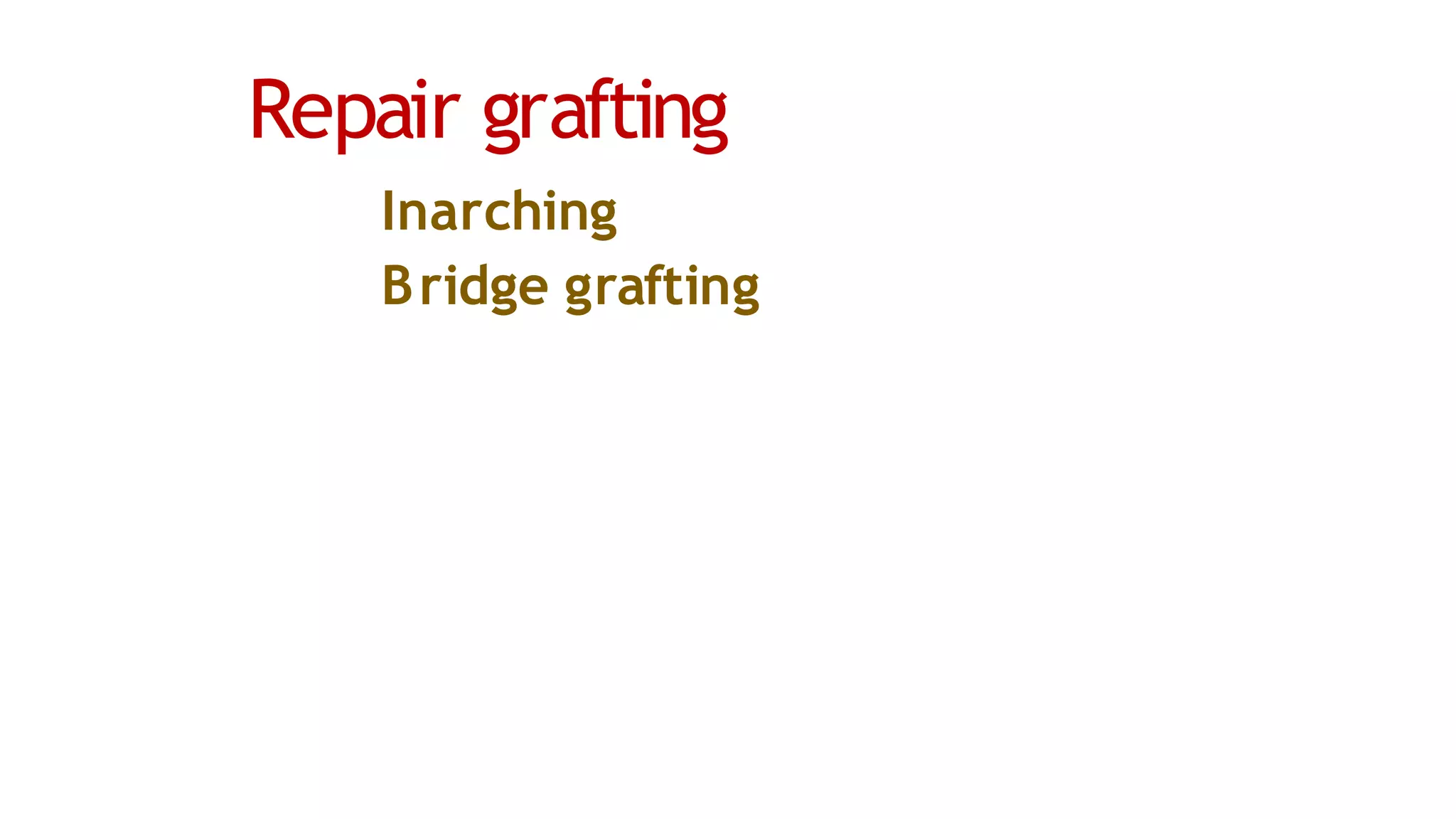 Repair grafting
Inarching
Bridge grafting
 