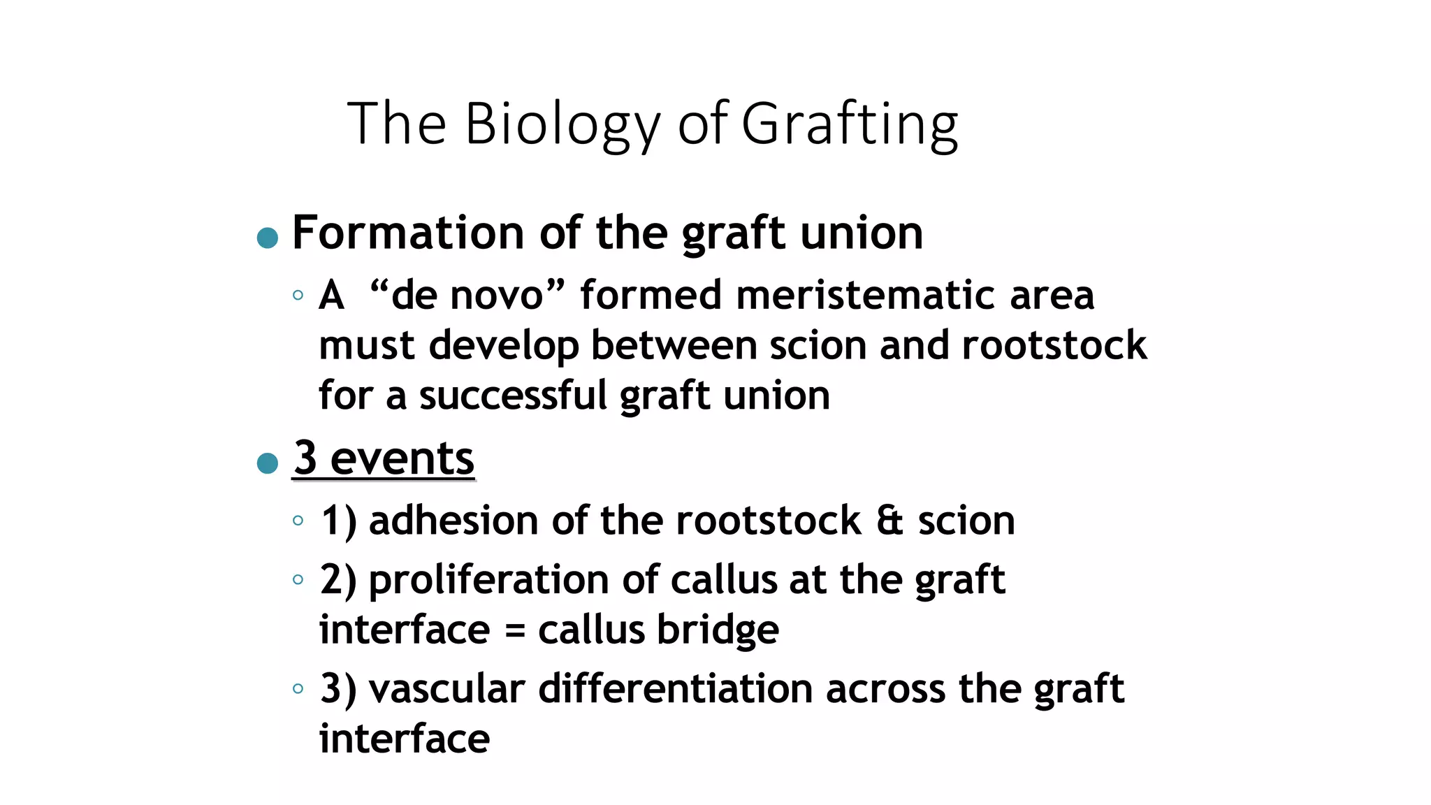 The Biology of Grafting
● Formation of the graft union
◦ A “de novo” formed meristematic area
must develop between scion and rootstock
for a successful graft union
● 3 events
◦ 1) adhesion of the rootstock & scion
◦ 2) proliferation of callus at the graft
interface = callus bridge
◦ 3) vascular differentiation across the graft
interface
 