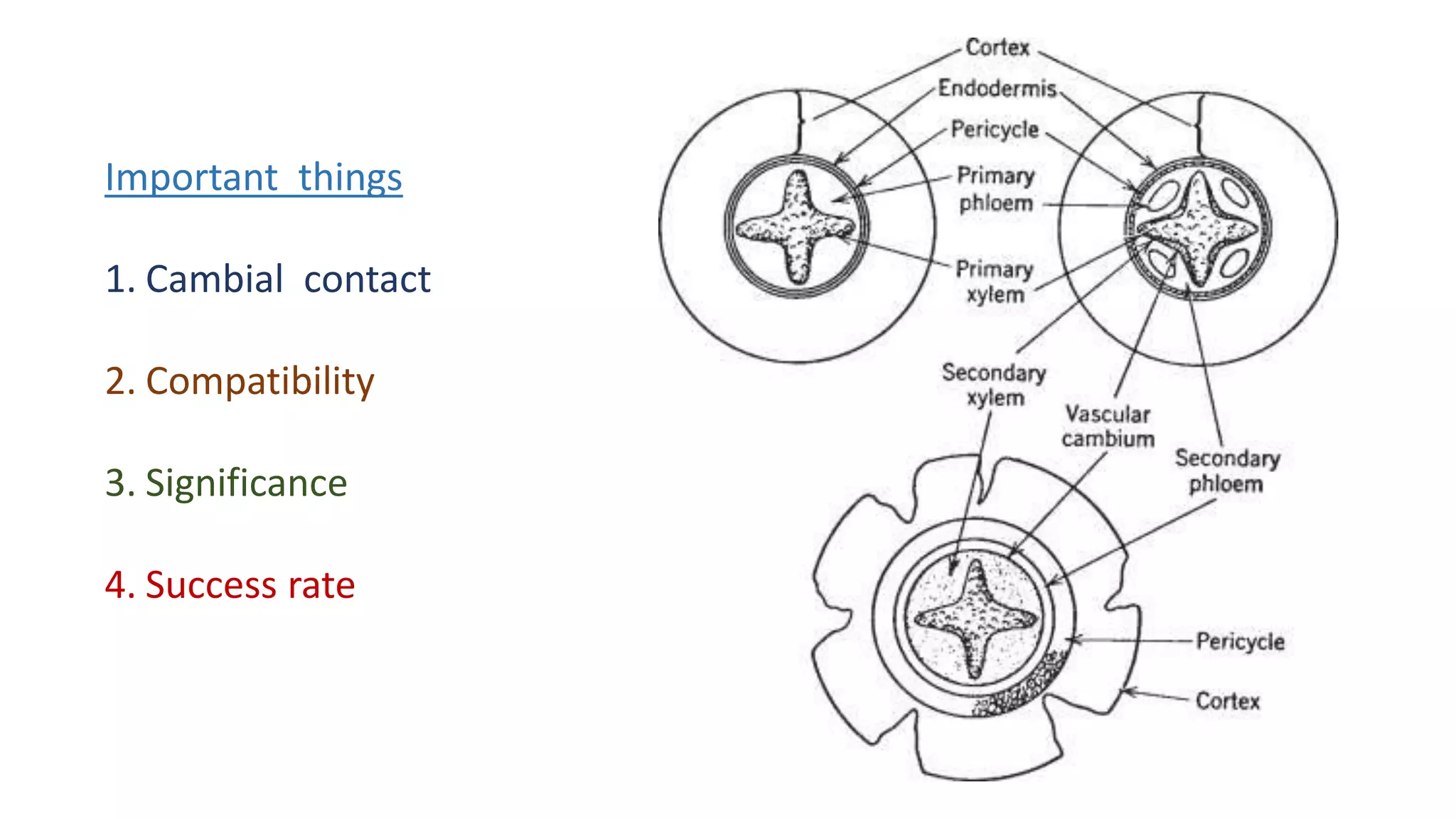 Important things
1. Cambial contact
2. Compatibility
3. Significance
4. Success rate
 