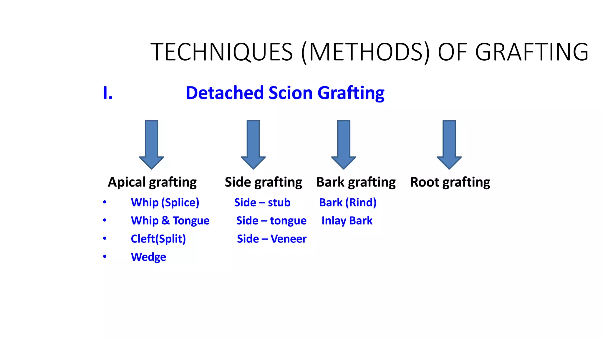 TECHNIQUES (METHODS) OF GRAFTING
I. Detached Scion Grafting
Apical grafting Side grafting Bark grafting Root grafting
• Whip (Splice) Side – stub Bark (Rind)
• Whip & Tongue
• Cleft(Split)
• Wedge
Side – tongue
Side – Veneer
Inlay Bark
 