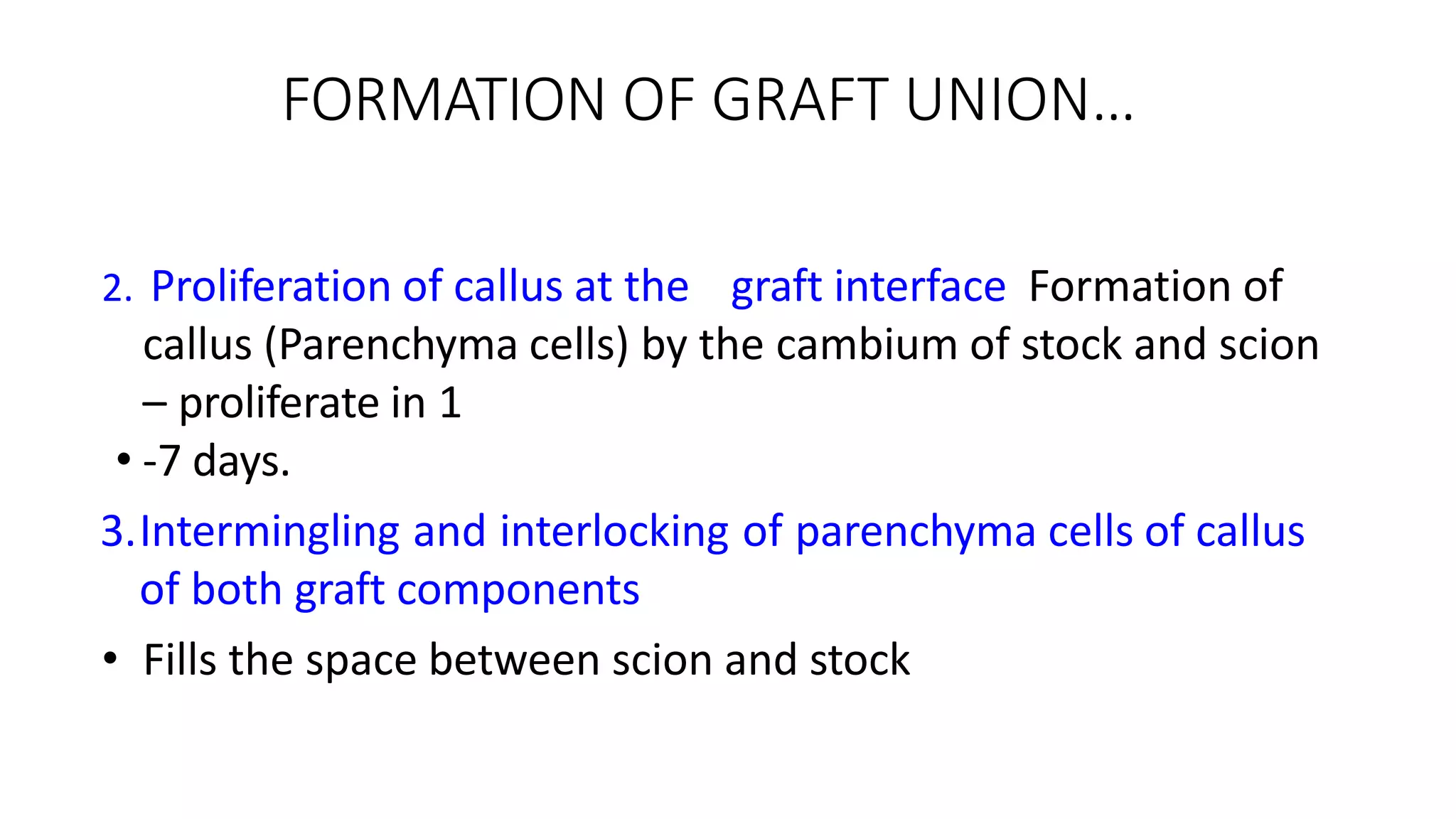 FORMATION OF GRAFT UNION…
2. Proliferation of callus at the graft interface Formation of
callus (Parenchyma cells) by the cambium of stock and scion
– proliferate in 1
• -7 days.
3.Intermingling and interlocking of parenchyma cells of callus
of both graft components
• Fills the space between scion and stock
 