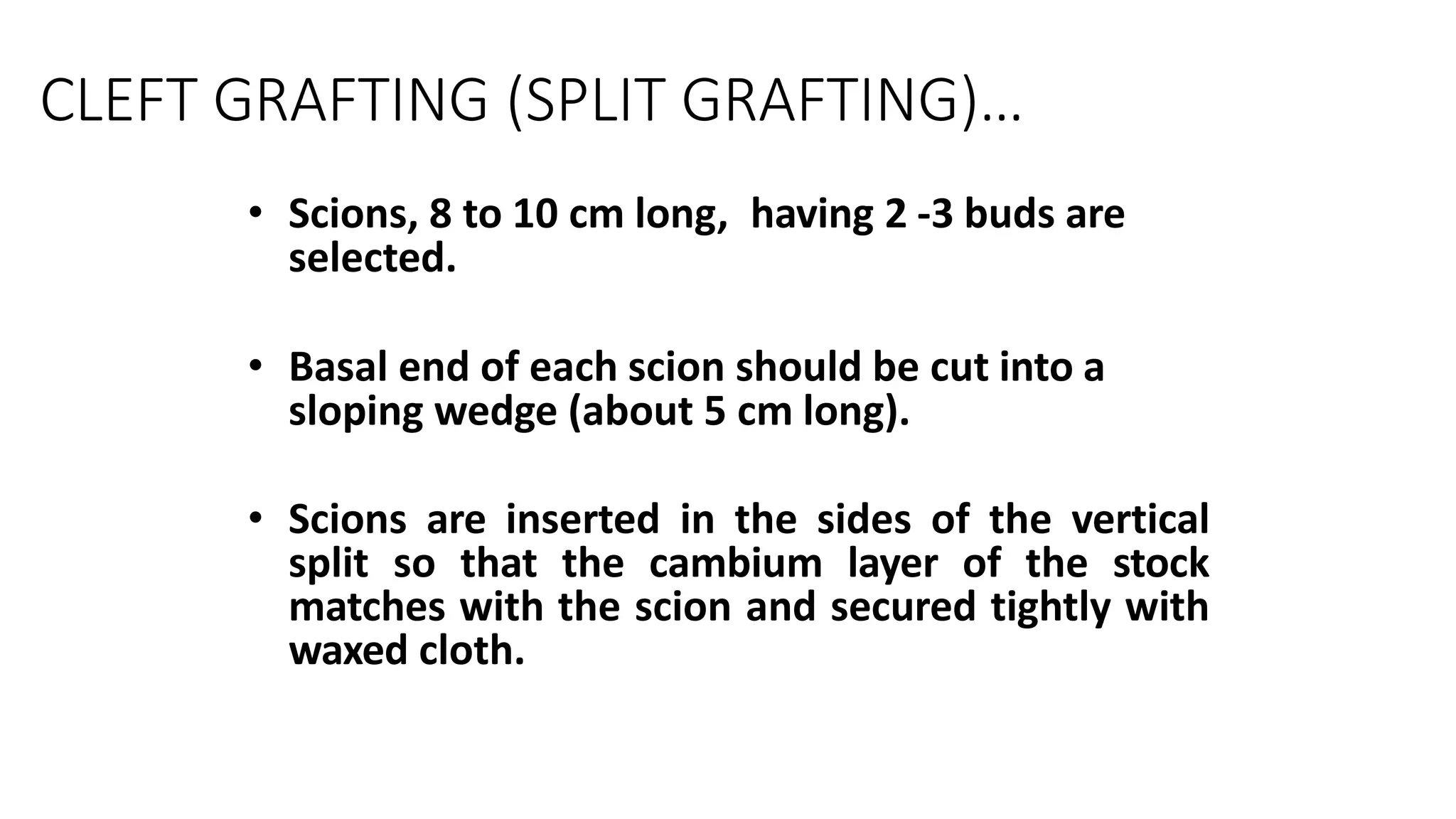 CLEFT GRAFTING (SPLIT GRAFTING)…
• Scions, 8 to 10 cm long, having 2 -3 buds are
selected.
• Basal end of each scion should be cut into a
sloping wedge (about 5 cm long).
• Scions are inserted in the sides of the vertical
split so that the cambium layer of the stock
matches with the scion and secured tightly with
waxed cloth.
 