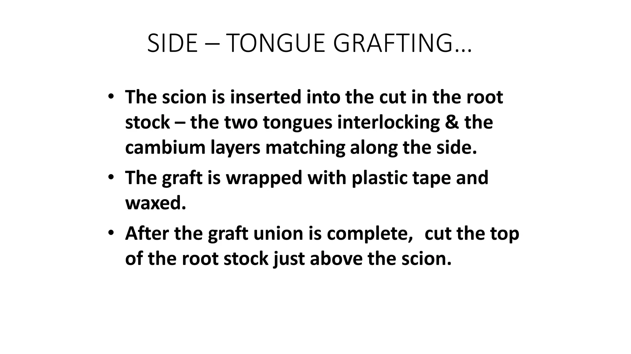 SIDE – TONGUE GRAFTING…
• The scion is inserted into the cut in the root
stock – the two tongues interlocking & the
cambium layers matching along the side.
• The graft is wrapped with plastic tape and
waxed.
• After the graft union is complete, cut the top
of the root stock just above the scion.
 