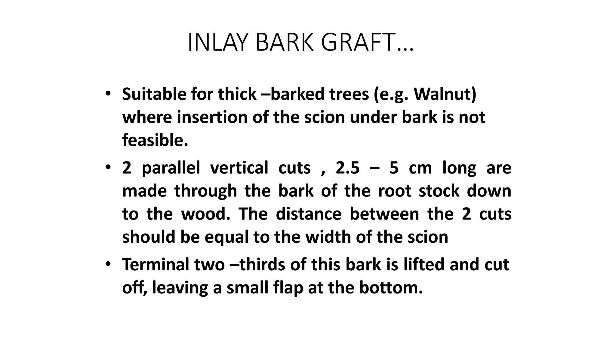 INLAY BARK GRAFT…
• Suitable for thick –barked trees (e.g. Walnut)
where insertion of the scion under bark is not
feasible.
• 2 parallel vertical cuts , 2.5 – 5 cm long are
made through the bark of the root stock down
to the wood. The distance between the 2 cuts
should be equal to the width of the scion
• Terminal two –thirds of this bark is lifted and cut
off, leaving a small flap at the bottom.
 