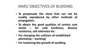 AIMS/ OBJECTIVES OF BUDDING
• To perpetuate the clone that can not be
readily reproduced by other methods of
propagation.
• To obtain the good qualities of certain root
stocks – for cold hardiness, disease
resistance, salt tolerance etc.
• For changing the cultivars of established
plants(top – working)
• For hastening the growth of seedling.
 
