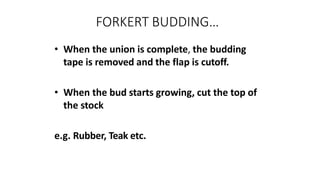 FORKERT BUDDING…
• When the union is complete, the budding
tape is removed and the flap is cutoff.
• When the bud starts growing, cut the top of
the stock
e.g. Rubber, Teak etc.
 
