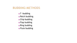 ⦿T –budding
⦿Patch budding
⦿Chip budding
⦿Flap budding
⦿Ring budding
⦿Flute budding
 