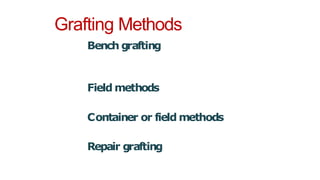 Grafting Methods
Bench grafting
Field methods
Container or field methods
Repair grafting
 