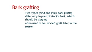 Bark grafting
Two types (rind and inlay-bark grafts)
differ only in prep of stock’s bark, which
should be slipping
often used in lieu of cleft graft later in the
season
 