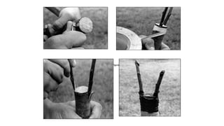 FiguF
re
ig2
u3
re 25 Figure 24
6
 