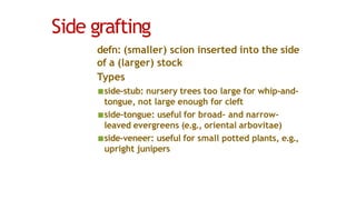 Side grafting
defn: (smaller) scion inserted into the side
of a (larger) stock
Types
■side-stub: nursery trees too large for whip-and-
tongue, not large enough for cleft
■side-tongue: useful for broad- and narrow-
leaved evergreens (e.g., oriental arbovitae)
■side-veneer: useful for small potted plants, e.g.,
upright junipers
 