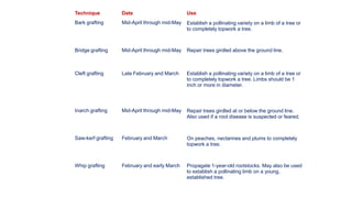 Technique
Bark grafting
Date
Mid-April through mid-May
Use
Establish a pollinating variety on a limb of a tree or
to completely topwork a tree.
Bridge grafting Mid-April through mid-May Repair trees girdled above the ground line.
Cleft grafting Late February and March Establish a pollinating variety on a limb of a tree or
to completely topwork a tree. Limbs should be 1
inch or more in diameter.
Inarch grafting Mid-April through mid-May Repair trees girdled at or below the ground line.
Also used if a root disease is suspected or feared.
Saw-kerf grafting February and March On peaches, nectarines and plums to completely
topwork a tree.
Whip grafting February and early March Propagate 1-year-old rootstocks. May also be used
to establish a pollinating limb on a young,
established tree.
 