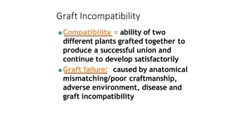 Graft Incompatibility
●Compatibility = ability of two
different plants grafted together to
produce a successful union and
continue to develop satisfactorily
●Graft failure: caused by anatomical
mismatching/poor craftmanship,
adverse environment, disease and
graft incompatibility
 