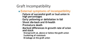 Graft Incompatibility
● External symptoms of incompatibility
◦ Failure of successful graft or bud union in
high percentages
◦ Early yellowing or defoliation in fall
◦ Shoot die-back and ill-health
◦ Premature death
◦ Marked differences in growth rate of scion
and stock
Overgrowth at, above or below the graft union
Suckering of rootstock
Breakage at the graft union
 