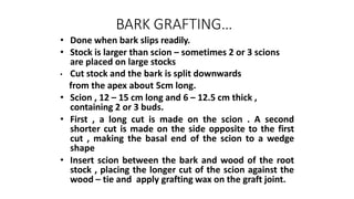 BARK GRAFTING…
• Done when bark slips readily.
• Stock is larger than scion – sometimes 2 or 3 scions
are placed on large stocks
• Cut stock and the bark is split downwards
from the apex about 5cm long.
• Scion , 12 – 15 cm long and 6 – 12.5 cm thick ,
containing 2 or 3 buds.
• First , a long cut is made on the scion . A second
shorter cut is made on the side opposite to the first
cut , making the basal end of the scion to a wedge
shape
• Insert scion between the bark and wood of the root
stock , placing the longer cut of the scion against the
wood – tie and apply grafting wax on the graft joint.
 