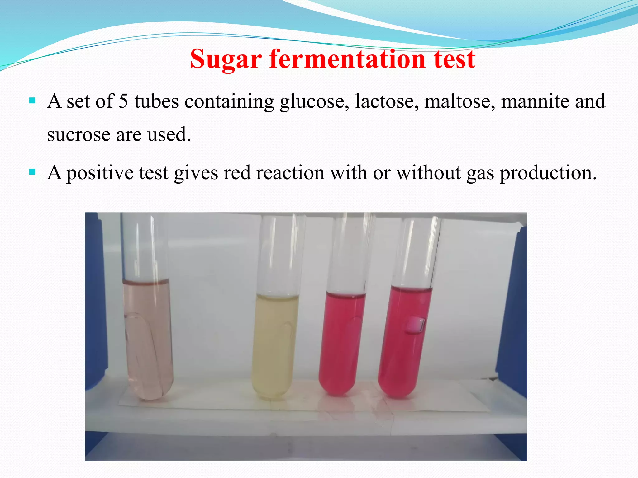 Sugar fermentation test
▪ A set of 5 tubes containing glucose, lactose, maltose, mannite and
sucrose are used.
▪ A positive test gives red reaction with or without gas production.
 