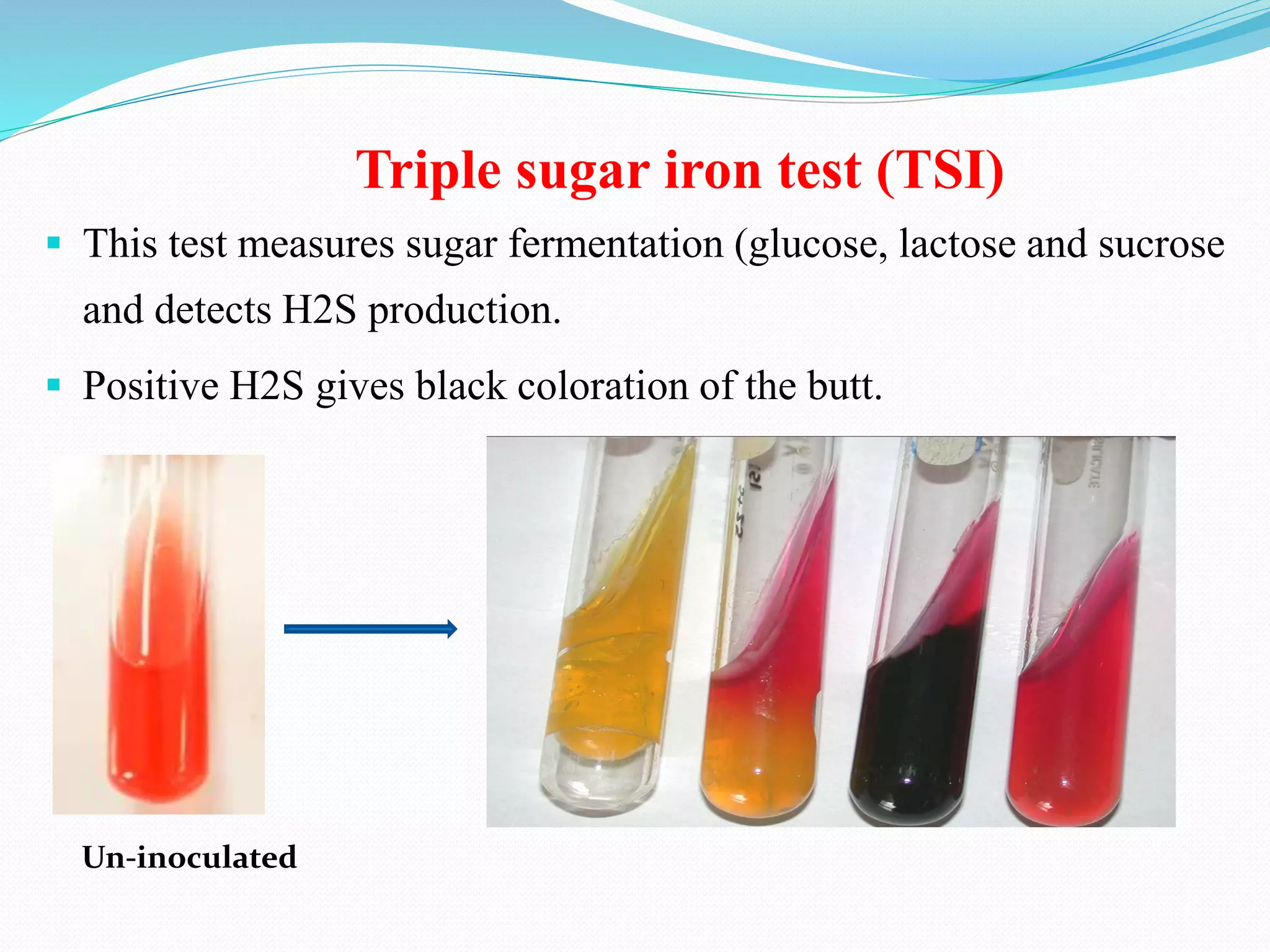 Triple sugar iron test (TSI)
▪ This test measures sugar fermentation (glucose, lactose and sucrose
and detects H2S production.
▪ Positive H2S gives black coloration of the butt.
Un-inoculated
 