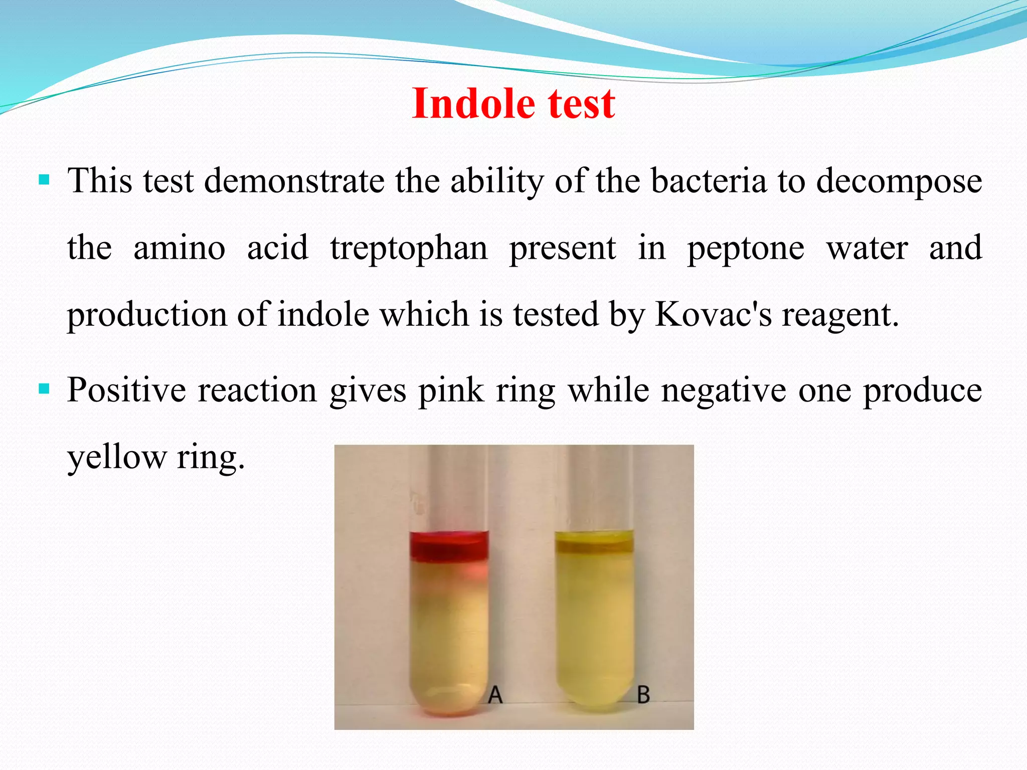 Indole test
▪ This test demonstrate the ability of the bacteria to decompose
the amino acid treptophan present in peptone water and
production of indole which is tested by Kovac's reagent.
▪ Positive reaction gives pink ring while negative one produce
yellow ring.
 