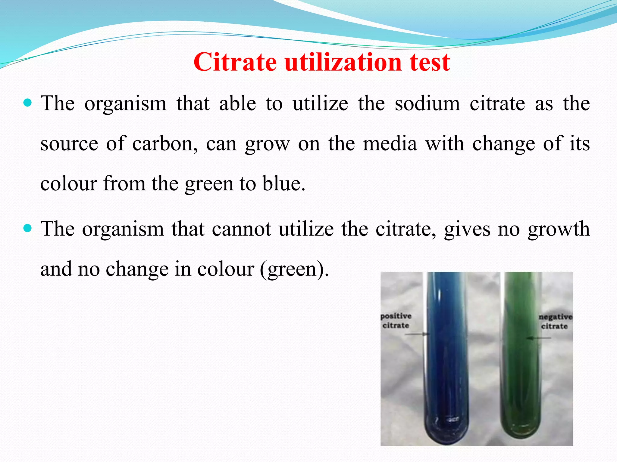 Citrate utilization test
 The organism that able to utilize the sodium citrate as the
source of carbon, can grow on the media with change of its
colour from the green to blue.
 The organism that cannot utilize the citrate, gives no growth
and no change in colour (green).
 