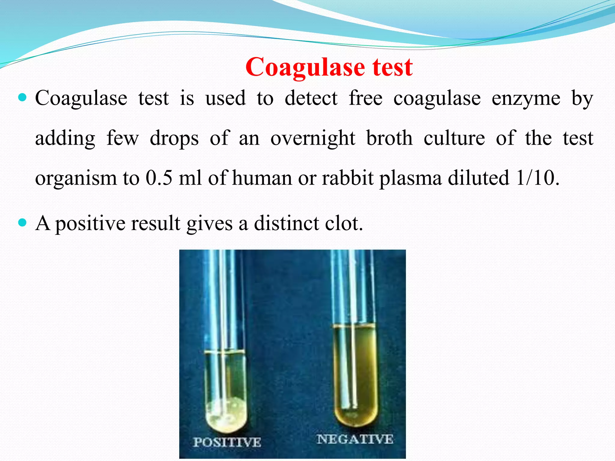 Coagulase test
 Coagulase test is used to detect free coagulase enzyme by
adding few drops of an overnight broth culture of the test
organism to 0.5 ml of human or rabbit plasma diluted 1/10.
 A positive result gives a distinct clot.
 