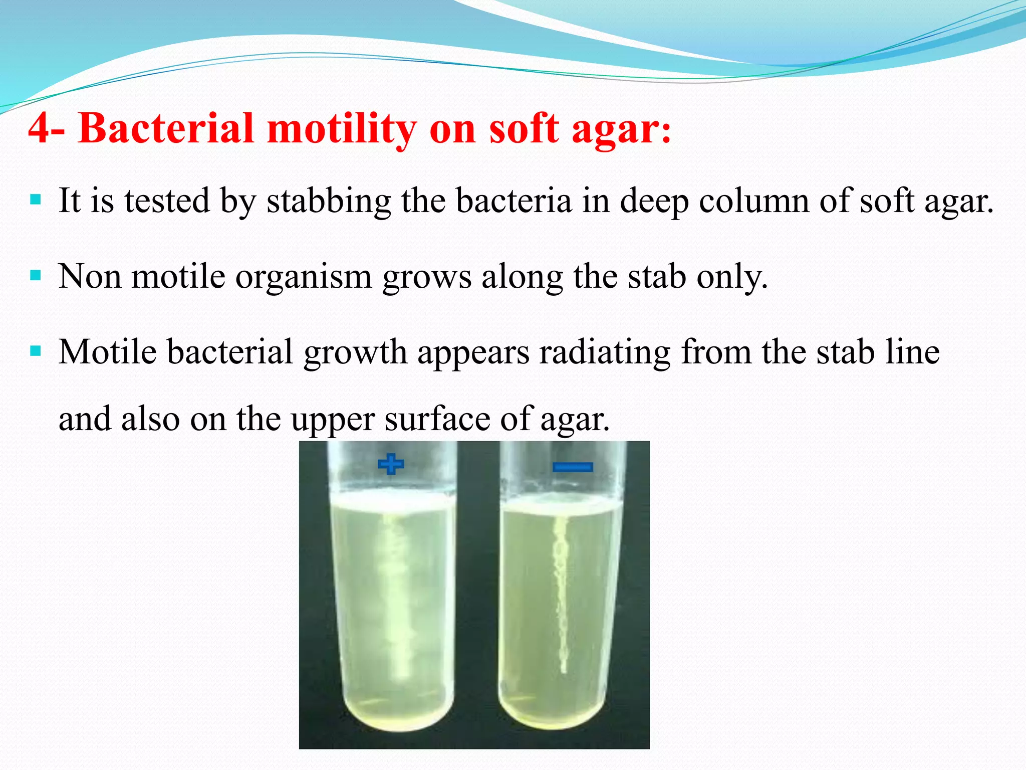 4- Bacterial motility on soft agar:
▪ It is tested by stabbing the bacteria in deep column of soft agar.
▪ Non motile organism grows along the stab only.
▪ Motile bacterial growth appears radiating from the stab line
and also on the upper surface of agar.
 