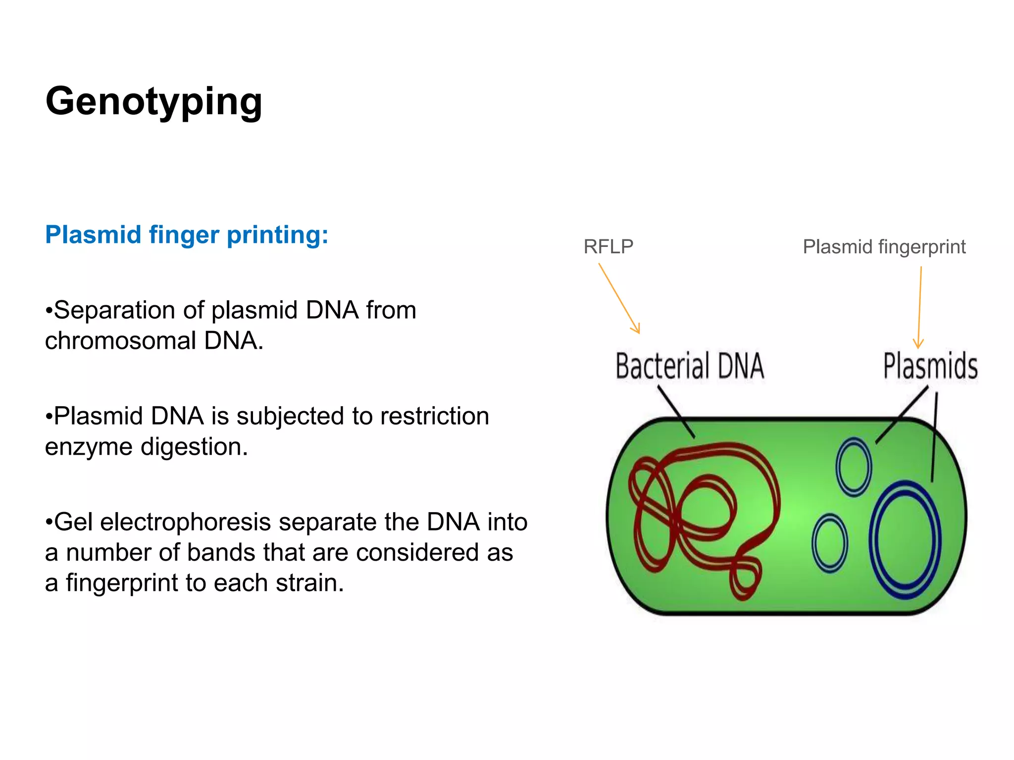 Genotyping
Plasmid finger printing:
•Separation of plasmid DNA from
chromosomal DNA.
•Plasmid DNA is subjected to restriction
enzyme digestion.
•Gel electrophoresis separate the DNA into
a number of bands that are considered as
a fingerprint to each strain.
RFLP Plasmid fingerprint
 