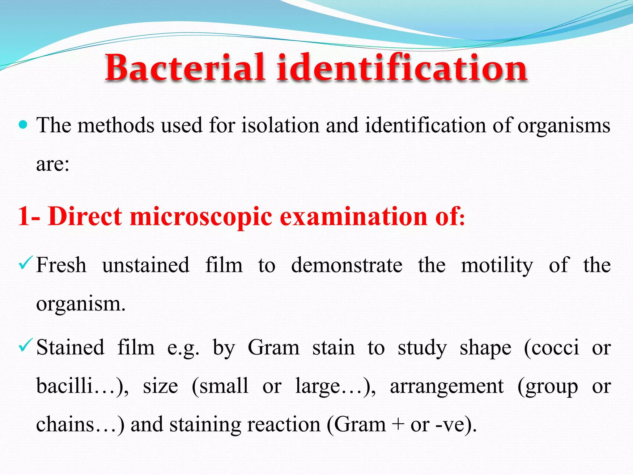 Bacterial identification
 The methods used for isolation and identification of organisms
are:
1- Direct microscopic examination of:
✓Fresh unstained film to demonstrate the motility of the
organism.
✓Stained film e.g. by Gram stain to study shape (cocci or
bacilli…), size (small or large…), arrangement (group or
chains…) and staining reaction (Gram + or -ve).
 