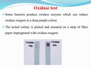 Oxidase test
 Some bacteria produce oxidase enzyme which can reduce
oxidase reagent to a deep purple colour.
 The tested colony is picked and smeared on a strip of filter
paper impregnated with oxidase reagent.
 