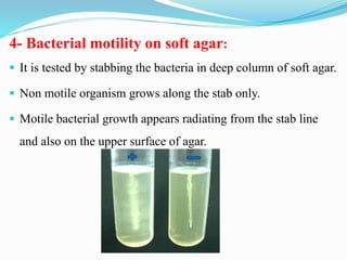 4- Bacterial motility on soft agar:
▪ It is tested by stabbing the bacteria in deep column of soft agar.
▪ Non motile organism grows along the stab only.
▪ Motile bacterial growth appears radiating from the stab line
and also on the upper surface of agar.
 