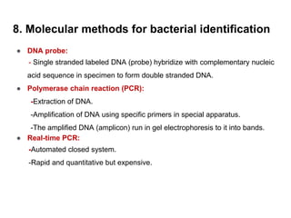 8. Molecular methods for bacterial identification
● DNA probe:
- Single stranded labeled DNA (probe) hybridize with complementary nucleic
acid sequence in specimen to form double stranded DNA.
● Polymerase chain reaction (PCR):
-Extraction of DNA.
-Amplification of DNA using specific primers in special apparatus.
-The amplified DNA (amplicon) run in gel electrophoresis to it into bands.
● Real-time PCR:
-Automated closed system.
-Rapid and quantitative but expensive.
 