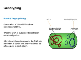 Genotyping
Plasmid finger printing:
•Separation of plasmid DNA from
chromosomal DNA.
•Plasmid DNA is subjected to restriction
enzyme digestion.
•Gel electrophoresis separate the DNA into
a number of bands that are considered as
a fingerprint to each strain.
RFLP Plasmid fingerprint
 