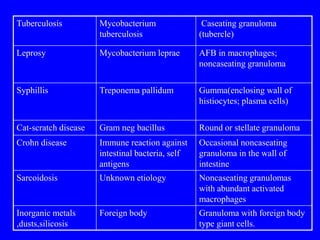 Practical 4 Inflammation.ppt