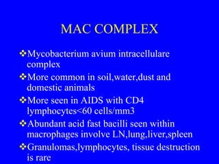 Practical 4 Inflammation.ppt