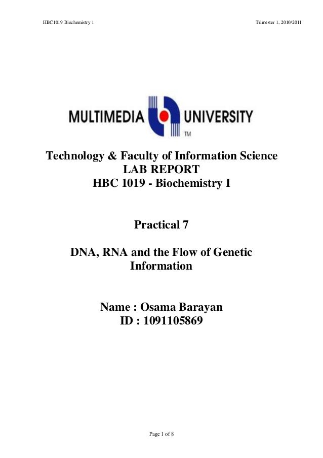 practical 7 dna rna and the flow of genetic information5