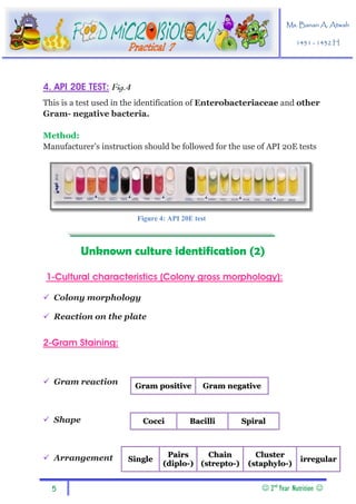 Identification_of_gram_-ve_bacteria | PDF