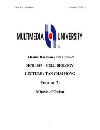 HCB 1019 Cell Biology Trimester 1, 2012/13
Osama Barayan - 1091105869
HCB 1019 – CELL BIOLOGY
LECTURE : TAN CHAI HONG
Practical 7:
Mitosis of Onion
- 1 -
 