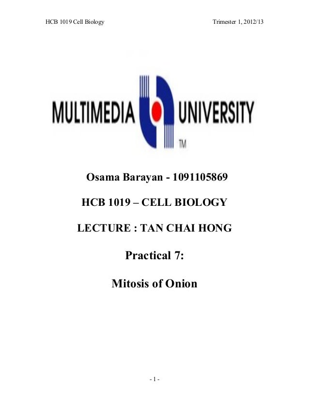 practical 2 mitosis Mitosis is a form of cell division in which a cell's genetic material is divided equally between two daughter cells mitosis can. practical 2 mitosis Mitosis is a form of cell division in which a cell's genetic material is divided equally between two daughter cells mitosis can.
