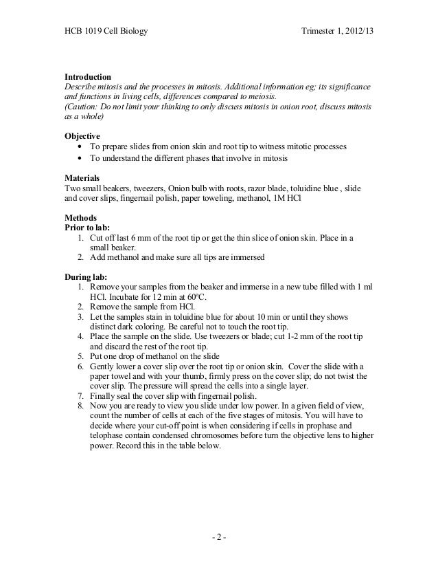 Proposal Essay Topic Ideas Practical Mitosis Onion Top English Essays also Good Persuasive Essay Topics For High School Mitosis Essay Meiosis Essay Meiosis Essay Custom University Essay Thesis For An Essay