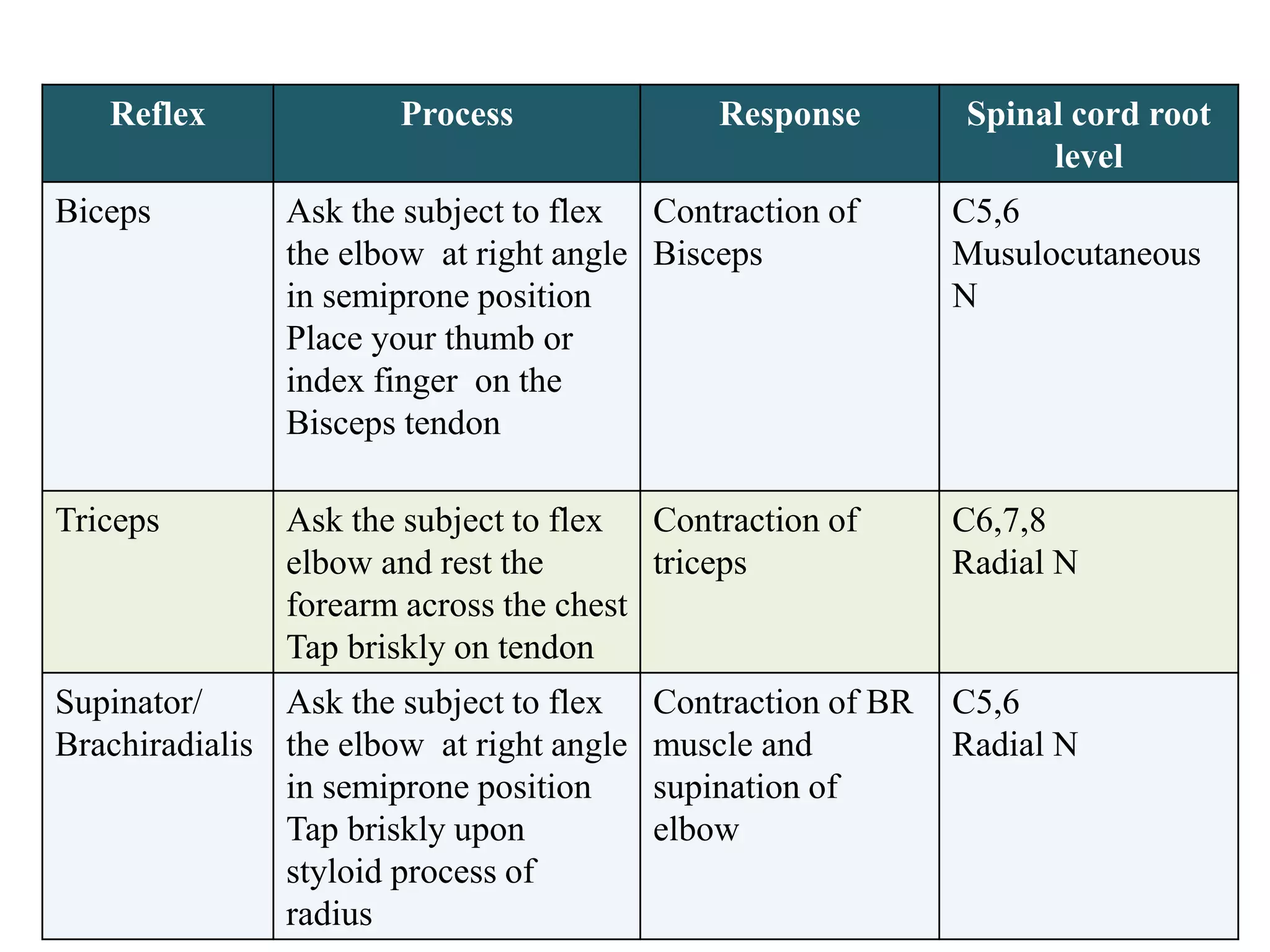 Reflex Process Response Spinal cord root
level
Biceps Ask the subject to flex
the elbow at right angle
in semiprone position
Place your thumb or
index finger on the
Bisceps tendon
Contraction of
Bisceps
C5,6
Musulocutaneous
N
Triceps Ask the subject to flex
elbow and rest the
forearm across the chest
Tap briskly on tendon
Contraction of
triceps
C6,7,8
Radial N
Supinator/
Brachiradialis
Ask the subject to flex
the elbow at right angle
in semiprone position
Tap briskly upon
styloid process of
radius
Contraction of BR
muscle and
supination of
elbow
C5,6
Radial N
 