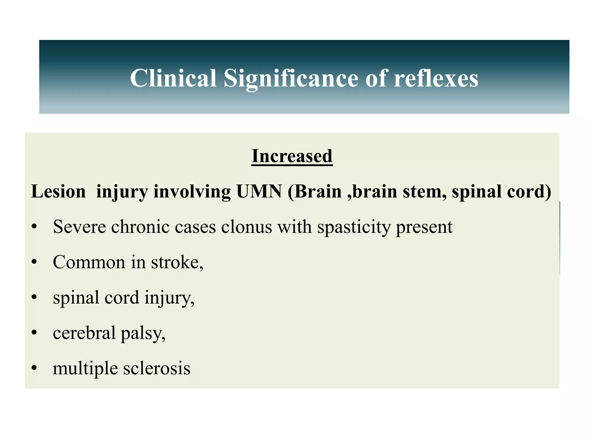 Significance
Increased
Lesion injury involving UMN (Brain ,brain stem, spinal cord)
• Severe chronic cases clonus with spasticity present
• Common in stroke,
• spinal cord injury,
• cerebral palsy,
• multiple sclerosis
Clinical Significance of reflexes
 
