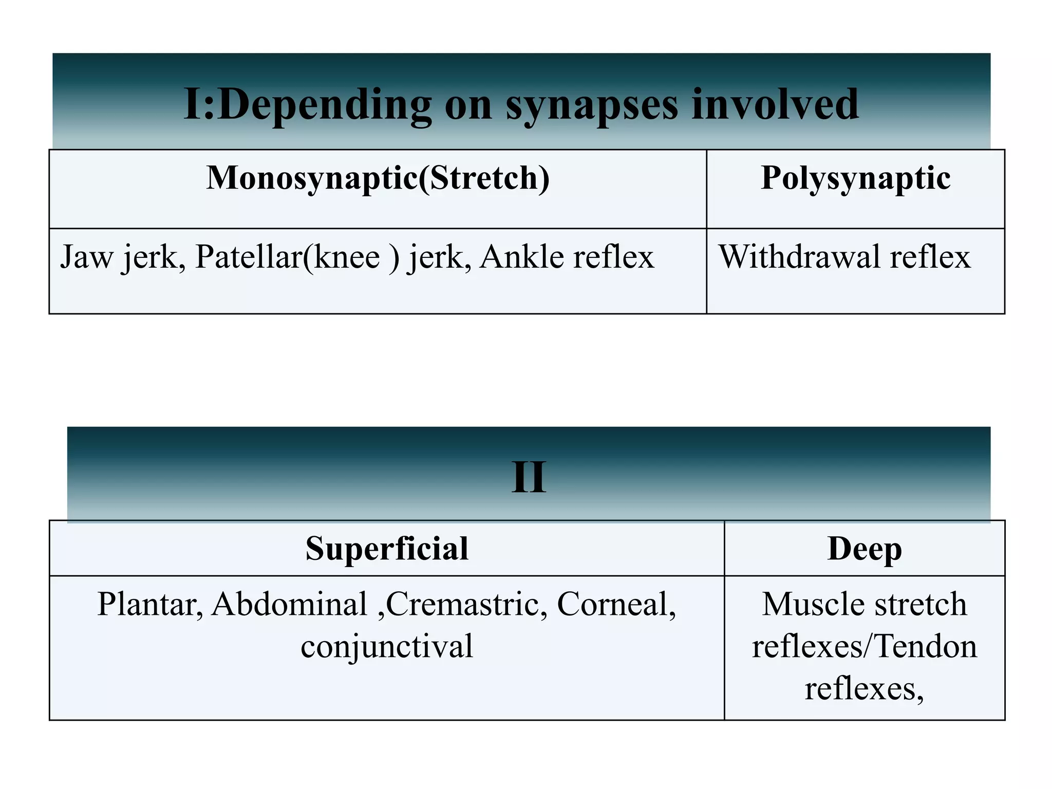 I:Depending on synapses involved
Monosynaptic(Stretch) Polysynaptic
Jaw jerk, Patellar(knee ) jerk, Ankle reflex Withdrawal reflex
Superficial Deep
Plantar, Abdominal ,Cremastric, Corneal,
conjunctival
Muscle stretch
reflexes/Tendon
reflexes,
II
 