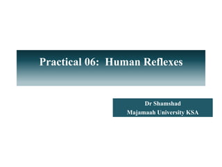 Practical 06: Human Reflexes
Dr Shamshad
Majamaah University KSA
 