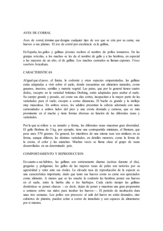AVES DE CORRAL
Aves de corral, término que designa cualquier tipo de ave que se cría por su carne, sus
huevos o sus plumas. El ave de corral por excelencia es la gallina,
En España, los gallos y gallinas jóvenes reciben el nombre de pollos tomateros. En las
granjas avícolas, a los machos se les da el nombre de gallo y a las hembras, en especial
a las mayores de un año, el de gallina. Los machos castrados se llaman capones. Véase
también Avicultura.
CARACTERISTICAS
Al igual que el pavo, el faisán, la codorniz y otras especies emparentadas, las gallinas
están adaptadas a vivir sobre el suelo, donde encuentran sus alimentos naturales, como
gusanos, insectos, semillas y materia vegetal. Las patas, que por lo general tienen cuatro
dedos, excepto en la variedad británica Dorking, están adaptadas para arañar el suelo.
Su cuerpo grande y pesado, así como sus alas cortas, incapacitan a la mayor parte de las
variedades para el vuelo, excepto a cortas distancias. El buche es grande y la molleja
muy musculosa. En ambos sexos, los adultos presentan la cabeza adornada con unas
carnosidades a ambos lados del pico y una cresta desnuda y carnosa, que es más
prominente en el macho y tiene formas diversas en función de las diferentes razas y
variedades.
Por lo que se refiere a su tamaño y forma, las diferentes razas muestran gran diversidad.
El gallo Brahma de 5 kg, por ejemplo, tiene una contrapartida miniatura, el Bantam, que
pesa unos 570 gramos. En general, los miembros de una misma raza son similares en su
forma, aunque difieren, las distintas variedades, en detalles menores, como la forma de
la cresta, el color y las manchas. Muchas veces se llama clase al grupo de razas
desarrolladas en un determinado país.
COMPORTAMIENTO Y REPRODUCCION
En cuanto a sus hábitos, las gallinas son estrictamente diurnas (activas durante el día),
gregarias y polígamas; los gallos de las mejores razas de pelea son notorios por su
agresividad y valor ante sus rivales. La elevada tasa de reproducción de la especie es
una característica importante, dado que tanto sus huevos como su carne son apreciados
como alimento. A menos que se les enseñe lo contrario las hembras ponen sus huevos
en el suelo, entre la hierba alta o los hierbajos. Cada cierto tiempo las gallinas
domésticas se ponen cluecas —es decir, dejan de poner y muestran una gran propensión
a sentarse sobre sus nidos para incubar los huevos—. El periodo de incubación dura
unas tres semanas. Los pollos son precoces: al salir del huevo no están desnudos, sino
cubiertos de plumón, pueden echar a correr de inmediato y son capaces de alimentarse
por sí mismos.
 