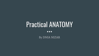 Practical ANATOMY
By DNIA NIZAR
 