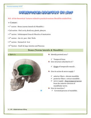 Practical anatomy of GIT
1 │ BY : Abdelrahman Hilmy
N.B : all the theoretical lectures related to practical sessions Should be studied first.
⌔ Content :
▪ 1st
section : Bones (norma lateralis & Mandible )
▪ 2ed section : Oral cavity &salivary glands, pharynx
▪ 3rd
section : Infratemporal fossa & Muscles of mastication
▪ 4th
section : Ant. & post. Abd. Walls
▪ 5th
section : Stomach & liver
▪ 6th
Section : Small & large intestine and Pancreas
Bones (Norma lateralis & Mandible)
⌔ Spot (1) Identify pointed area ?
 Temporal fossa
Give structure attached to it ?
 Origin of temporalis muscle .
Give its action & nerve supply ?
 anterior fibers : elevate mandible
 posterior fibers : retract mandible .
 nerve supply : Deep temporal nerves
from the anterior division of
mandibular nerve.
Give its insertion ?
 Coronoid process of mandible .
 