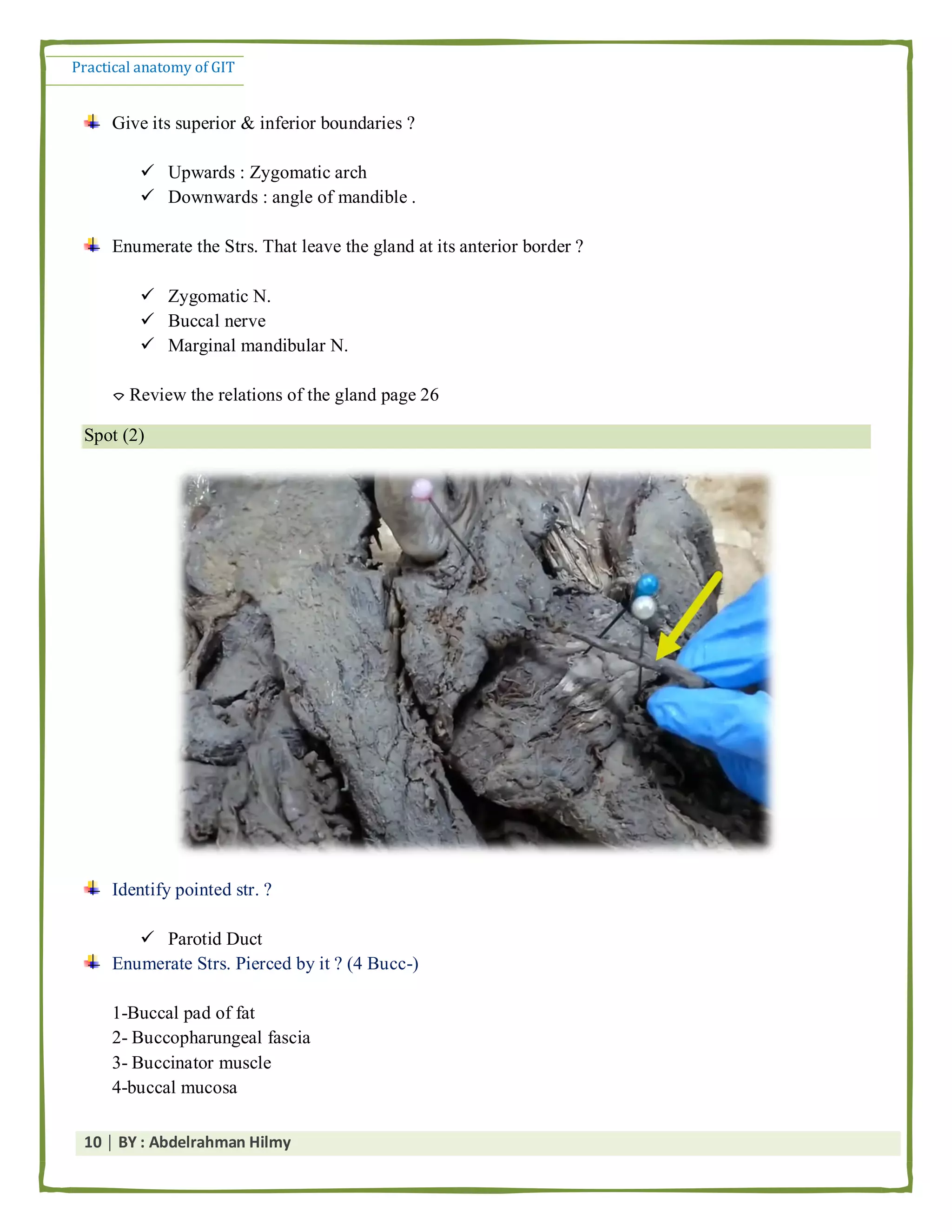 Practical anatomy of the git by abd el rahman helmy | PDF