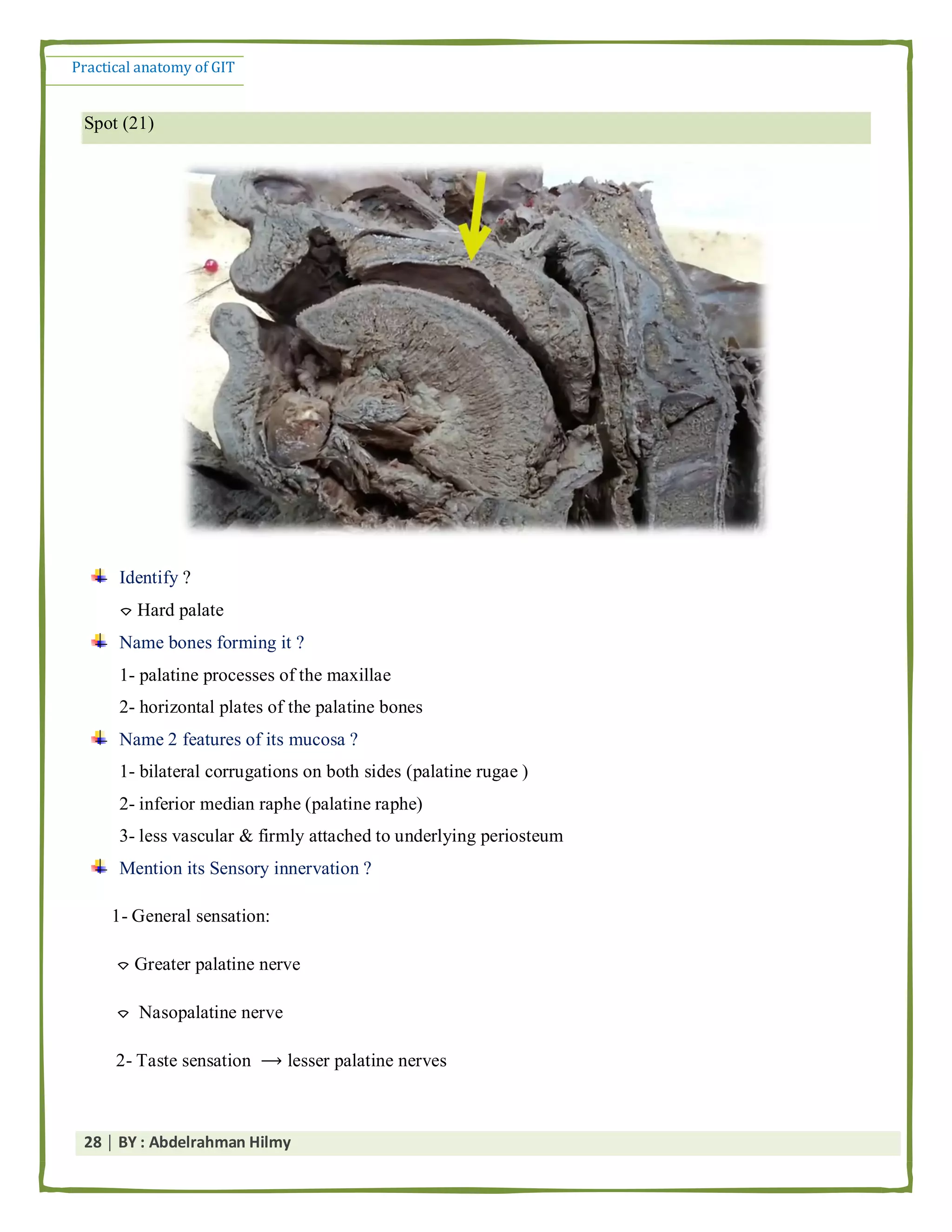Practical anatomy of the git by abd el rahman helmy | PDF