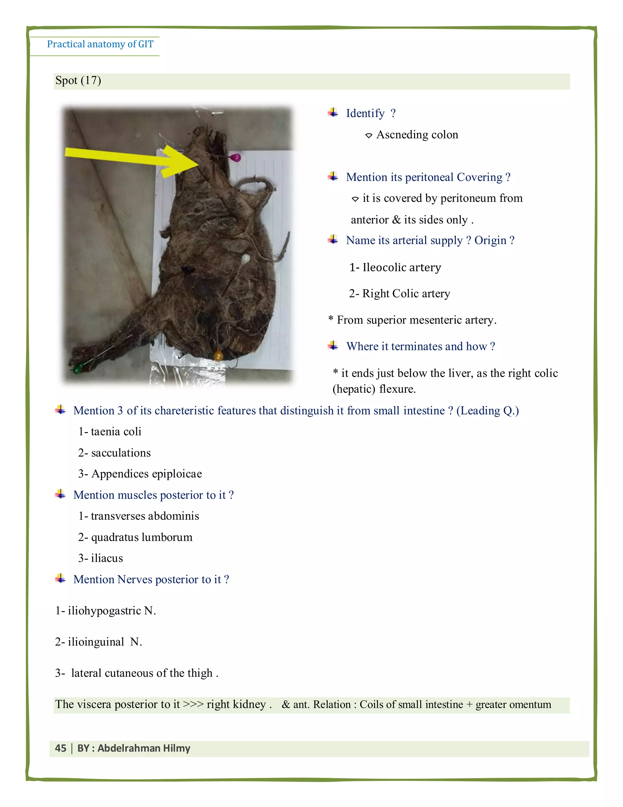 Practical anatomy of the git by abd el rahman helmy | PDF